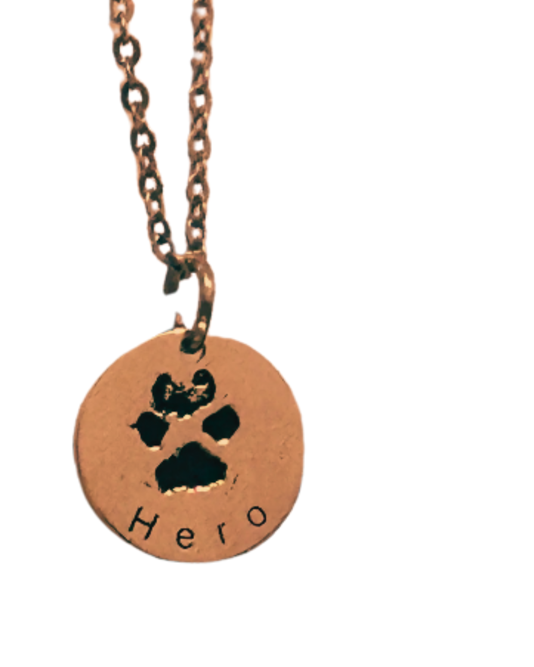 HERO NECKLACE Chapters of JOY
