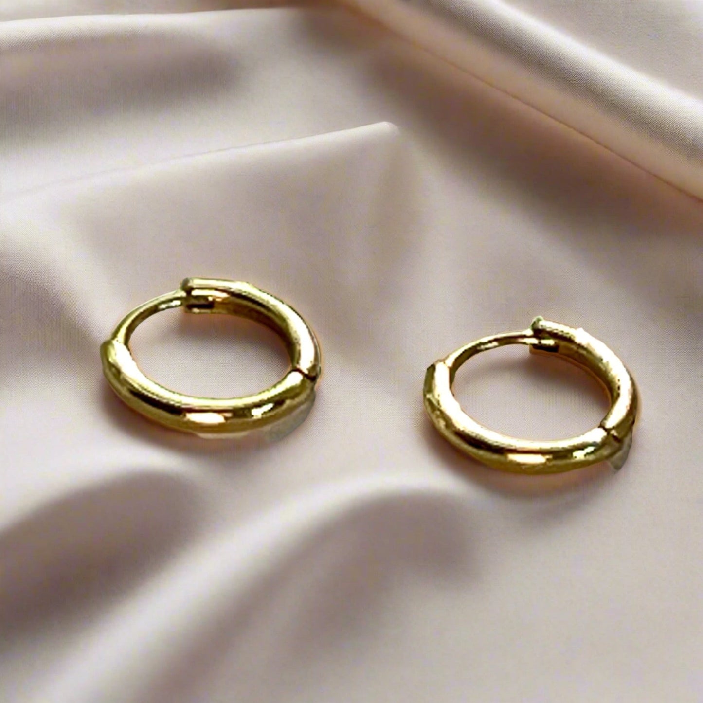 ROSIE HOOPS Chapters of JOY
