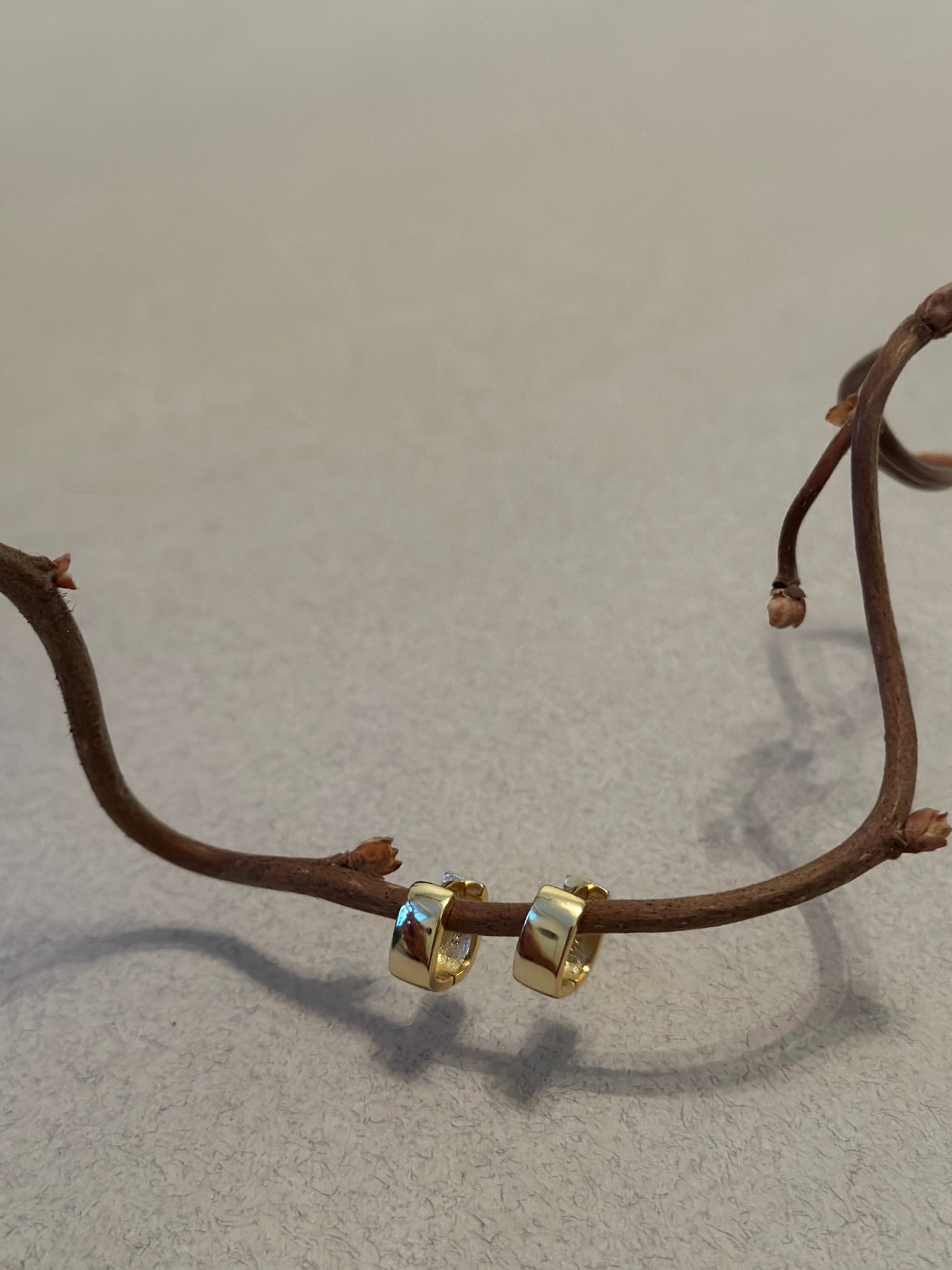 DEMI HOOPS Chapters of JOY