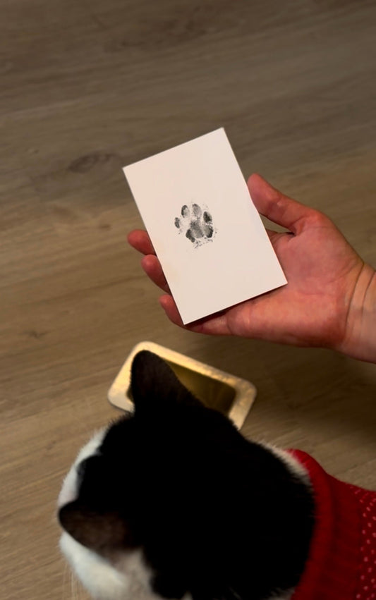 Pawprint of the cat to make the custom keepsake jewelry from Chapters of Joy.