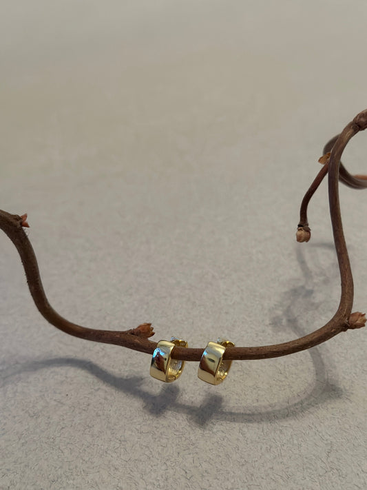 DEMI HOOPS Chapters of JOY