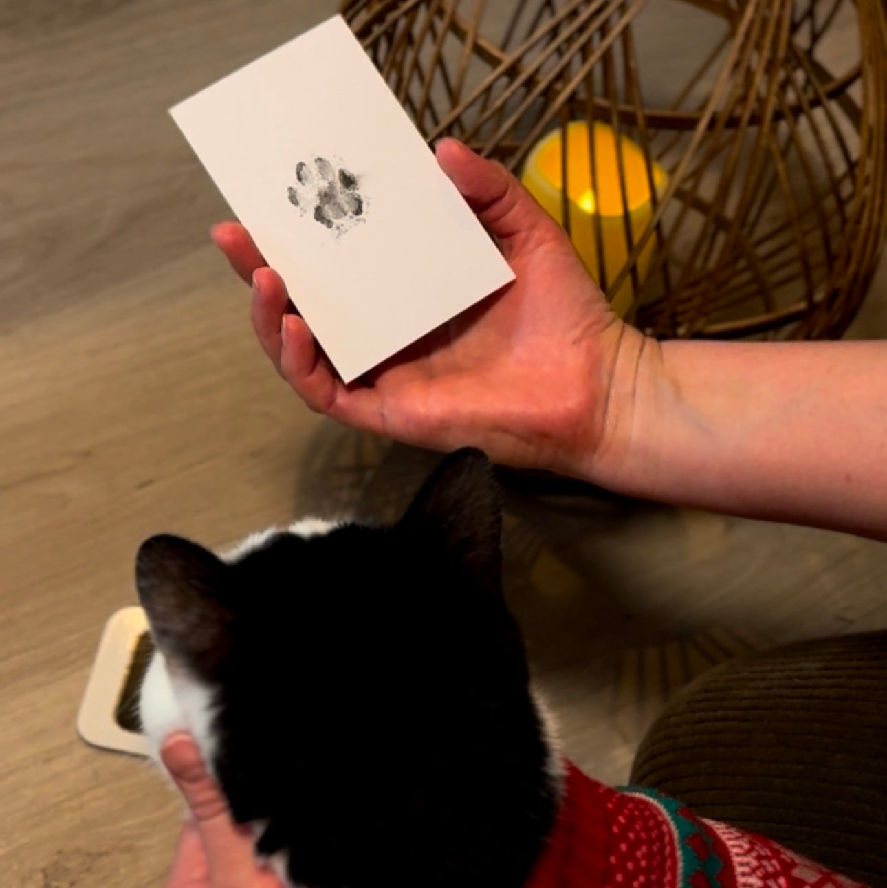showing a cat and his pawprint on a card. Ready to make the paw print engraving 