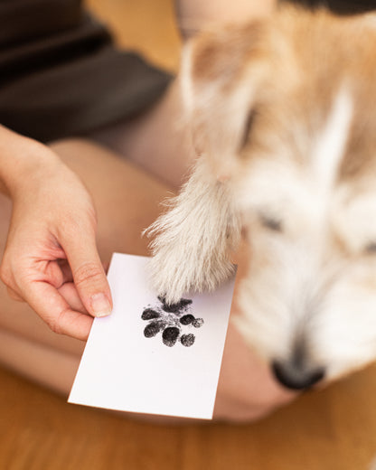 Aurelia Necklace – Paw Print