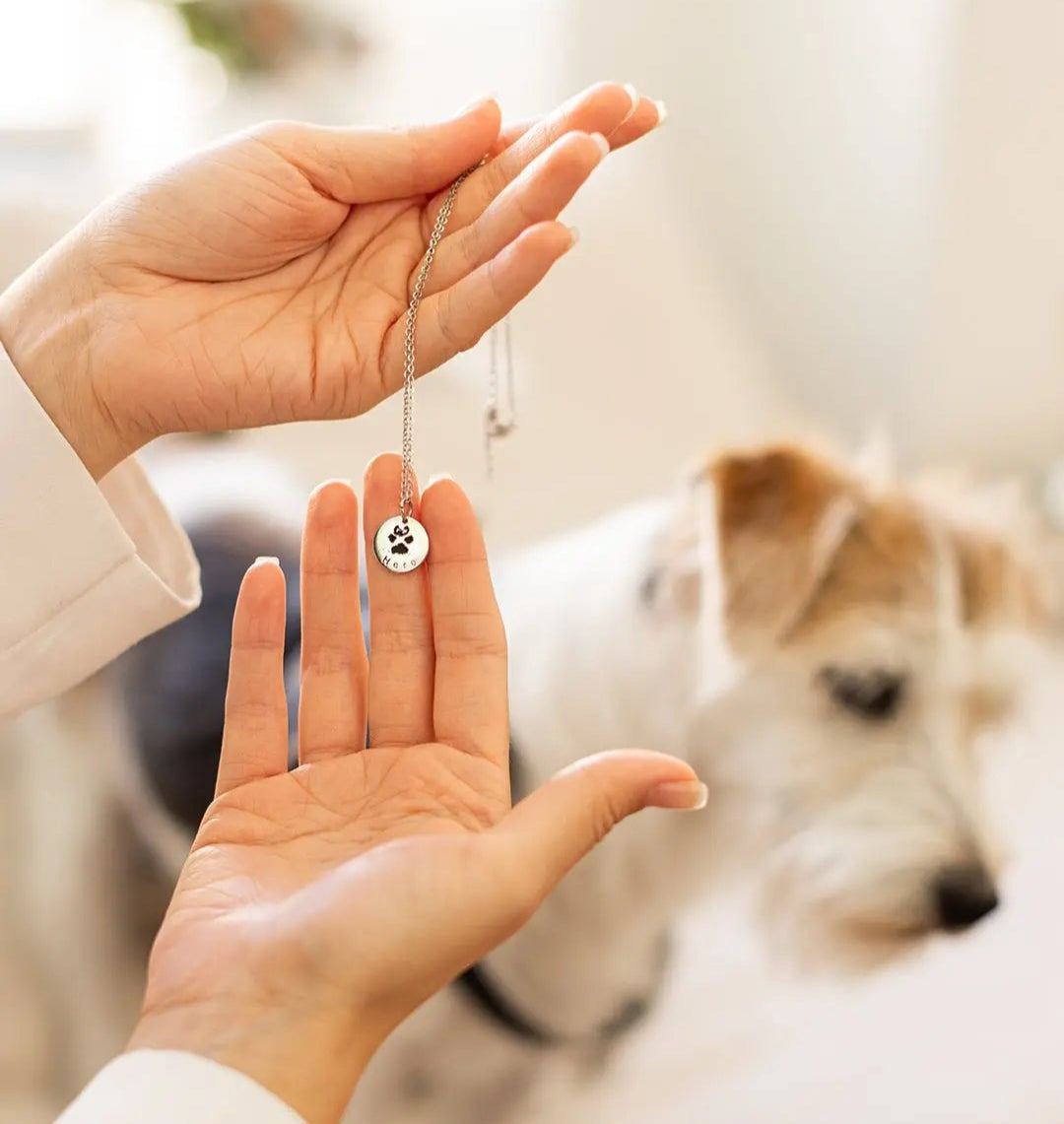 White gold–plated silver pendant engraved with a custom paw print, personalized pet keepsake necklace.